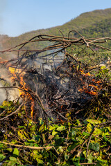 Pile of dry tree branches, fallen leaves and cut grass burning in campfire with poisoning smoke rising in air. Problem of abandoned fields, meadows and gardens, springtime cleaning causing