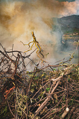 Pile of dry tree branches, fallen leaves and cut grass burning in campfire with poisoning smoke rising in air. Problem of abandoned fields, meadows and gardens, springtime cleaning causing