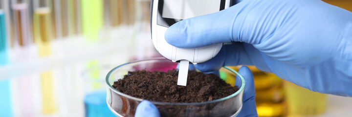 Scientist with gloves measures soil readings in test tube