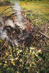 Pile of dry tree branches, fallen leaves and cut grass burning in campfire with poisoning smoke rising in air. Problem of abandoned fields, meadows and gardens, springtime cleaning causing