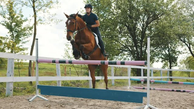 A female competitive jockey riding on her dark Bay horse jumping over hurdles in the sandy arena. Trees against the clear white sky in the background. Equestrian sport concept. Horse jumping