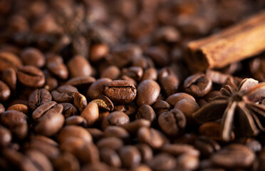 Large roasted coffee beans shot close-up