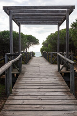 Obraz premium A wooden boardwalk leading through coastal marshlands and sand dunes overgrown with forest to the sea beach at Donana park, Huelva, Spain