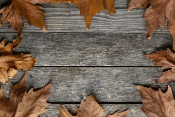 Leaves of a plane tree on an old wooden table