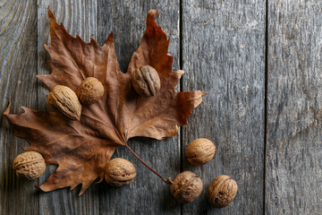 Leaves of a plane tree on an old wooden table with walnuts