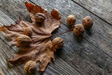 Leaves of a plane tree on an old wooden table with walnuts