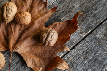 Leaves of a plane tree on an old wooden table with walnuts