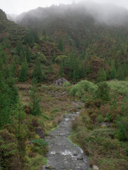 Fototapeta na wymiar Remote house in foggy dramatic natural hike trail with river, trees, mountains and moss in forest in sao miguel, azores, portugal