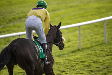Close up Race horse and jockey galloping towards the finish line 