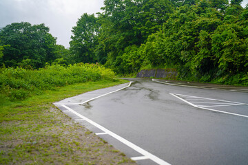 Fototapeta premium 雨飾山 登山道の風景
