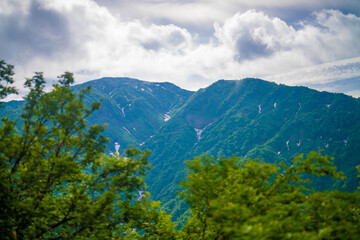 Obraz premium 雨飾山 登山道の風景