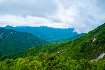 Fototapeta na wymiar 雨飾山 登山道の風景