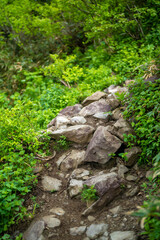 雨飾山 登山道の風景