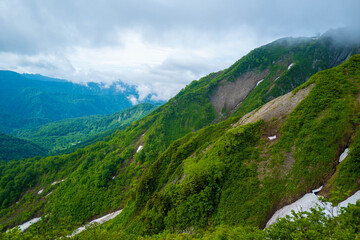 Fototapeta na wymiar 雨飾山 登山道の風景