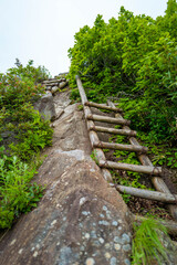 雨飾山 登山道の風景