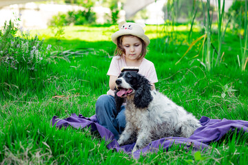 Fototapeta premium a small, beautiful girl in a hat, combing her dog, in the park on a blanket and green grass