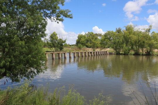 Vista de un r&iacute;o y la costa con gran arboleda  y una antigua construcci&oacute;n de hormig&oacute;n, cruzando el r&iacute;o.