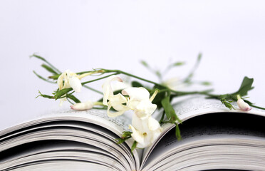 book and flower
