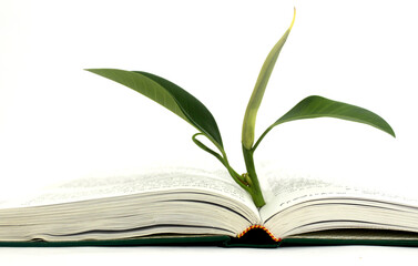 open book with green leaf