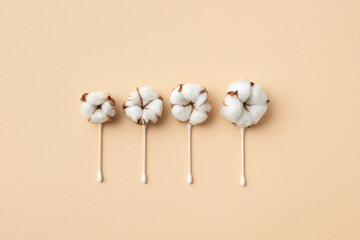 Dried cotton flowers and ear sticks