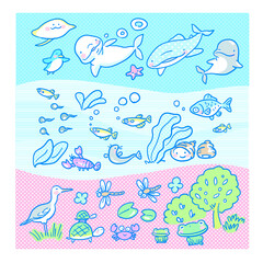 水に住む生き物たち