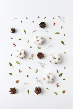 Dried cotton flowers, cones and leaves