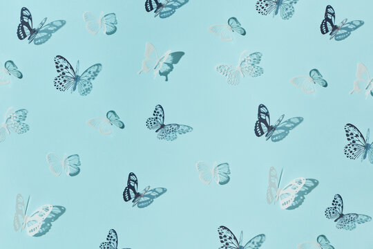 Paper butterflies on blue