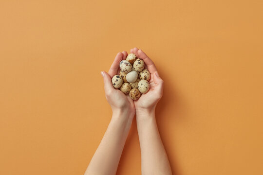 Woman holding quail eggs