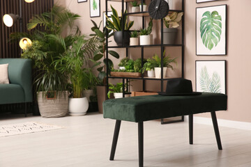 Stylish room interior with indoor bench and beautiful houseplants