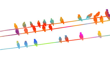 Multicolored Birds on wires. Vector illustration