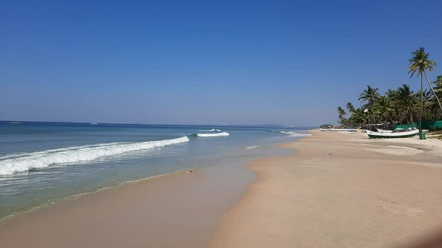 blue water beach with palm trees, Colva beach in goa, balm tree in peach, tropical beach, blue water and blue sky Arabian sea beach in India, white sand and blue water. beach with palm trees.