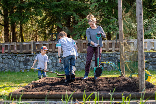 Young brothers dig in a garden in their back yard while their mom watches.