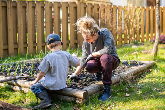 Young boy helps plant seeds in a garden in his back yard while his mom watches.
