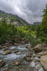 Fototapeta na wymiar Rocky wild mountain river Rio Cinca with surrounding forest on cloudy summer day in Pyrenees, Spain