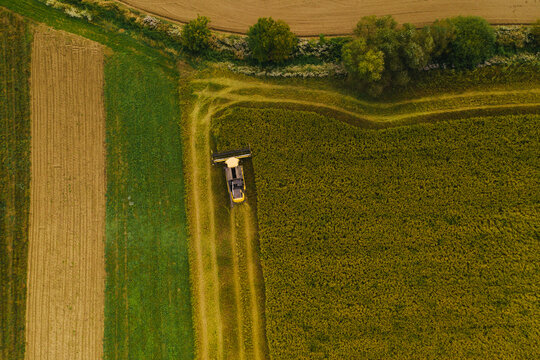 Harvester between different color fields