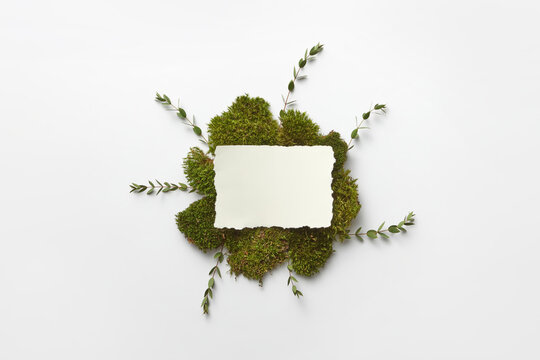 White piece of paper with moss and green leaves