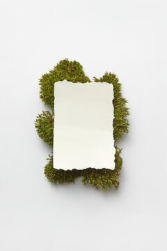 White piece of paper with moss