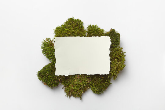 Empty piece of paper with moss