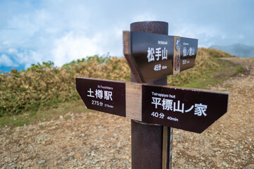 初夏の平標山の登山道