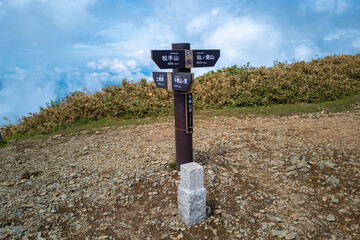 初夏の平標山の登山道