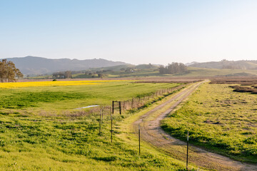 Countryside road in green field