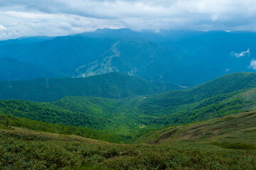 Obraz premium 初夏の平標山の登山道