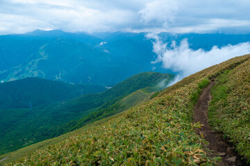 Obraz premium 初夏の平標山の登山道