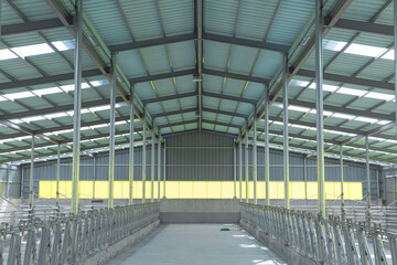 A sunlight came into the cattle shed