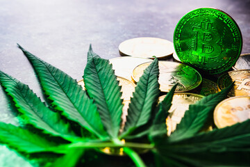 Golden coins with crypto currency symbol and cannabis leaves.