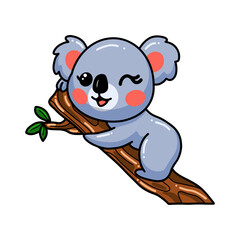 Cute baby koala cartoon on tree branch © frescostudio