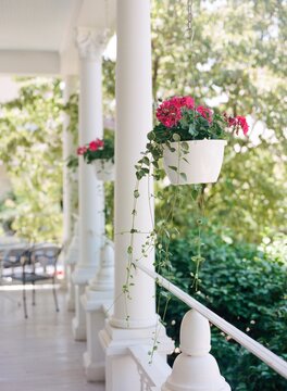 Pink flowers on the Porch