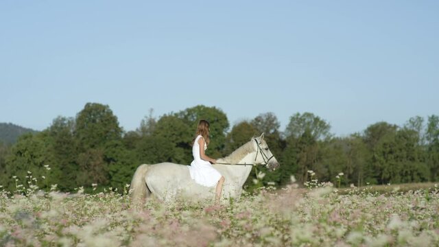 SLOW MOTION, COPY SPACE: Cinematic shot of a joyful young woman bareback riding a white stallion past a blooming field of buckwheat. Girl in white dress rides a horse in the tranquil countryside.