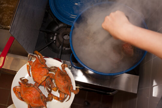 Crabs
