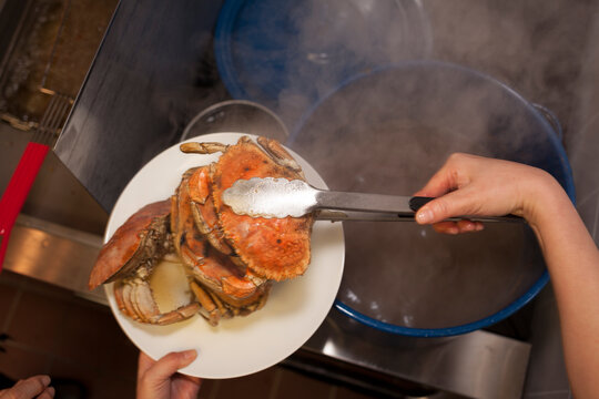 Crabs
